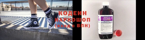 прущие грибы Аркадак