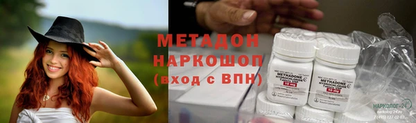 прущие грибы Аркадак