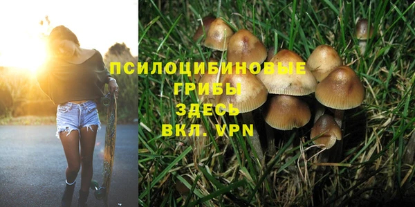 дмт Арсеньев