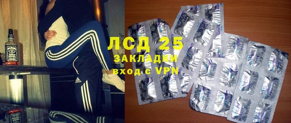 прущие грибы Аркадак