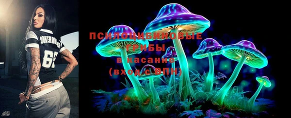 прущие грибы Аркадак