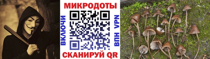 Псилоцибиновые грибы мухоморы  купить наркотик  Магас 
